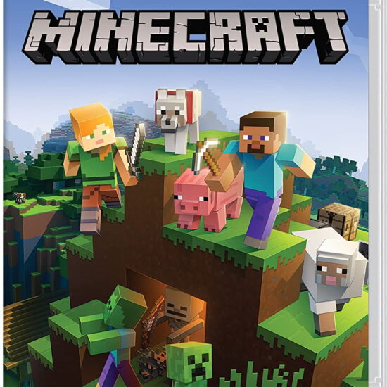 Minecraft - Nintendo Switch - prix maroc